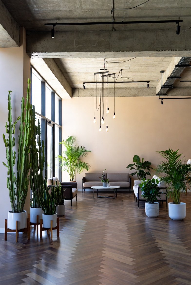 Dining nook with plants on a bench and simple table